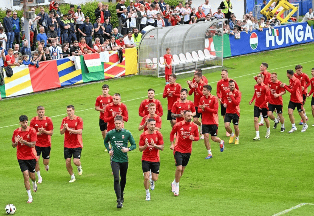 匈牙利队在比赛中表现出色,引起全场热议的是 匈牙利队在比赛中表现出色,引起全场热议的是